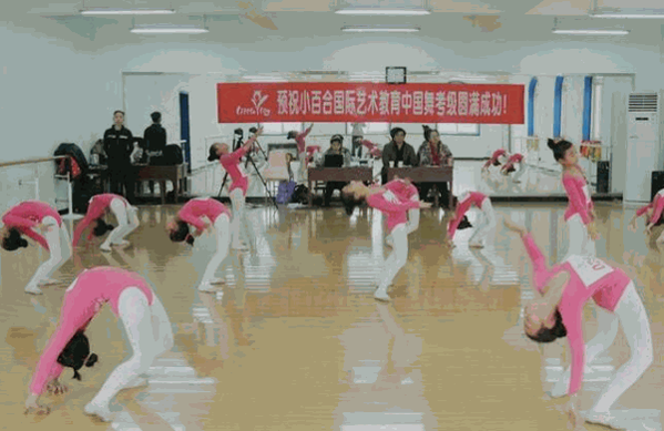 小百合国际艺术教育